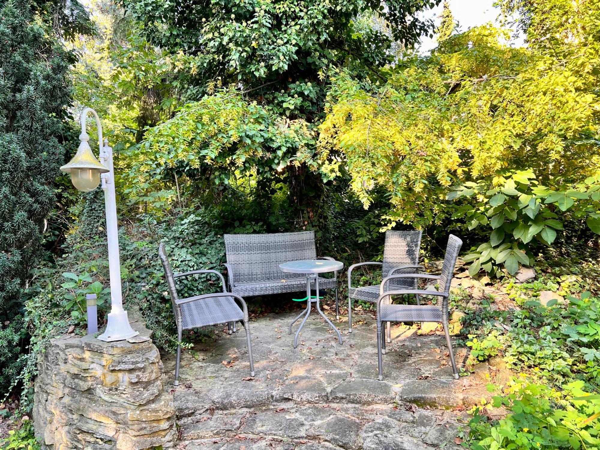 Homestay W.i.p. Welt Im Park Dresden