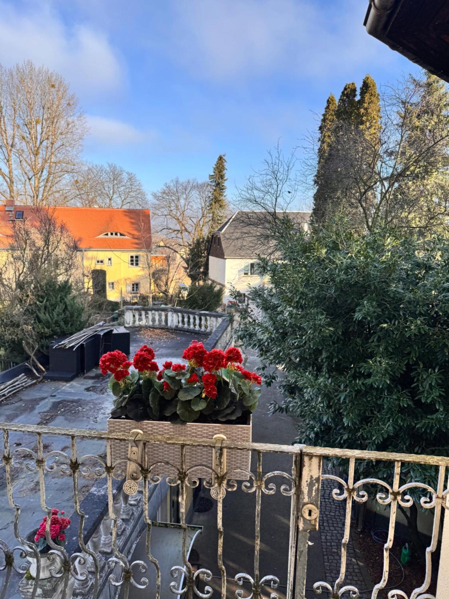 W.i.p. Welt Im Park Accommodatie bij particulieren